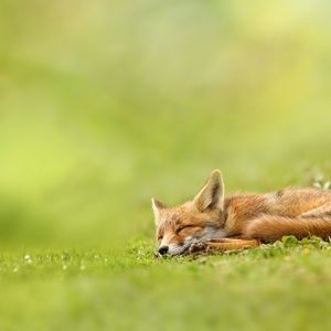 Meet your Posher, Aurelie